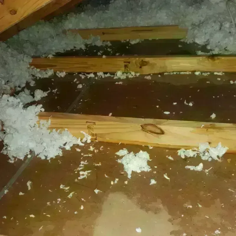 Attic Water Damage in Rushmere, VA